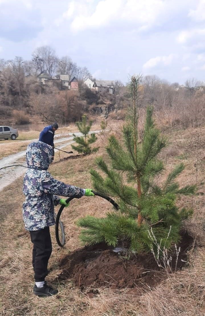 Весняна толока у Звягелі: прибрали набережну і висадили понад 180 дерев