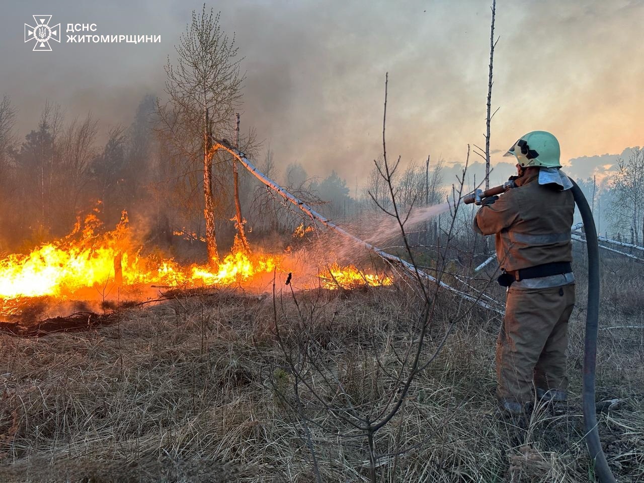 На Звягельщині вогонь з сухої трави перекинувся на будівлю