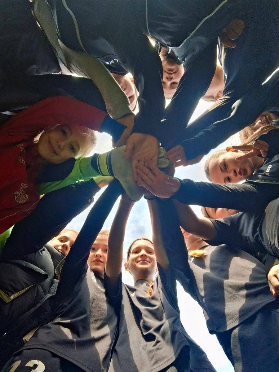 Турнір пам'яті Максима Левковського: перехідний кубок залишився у Звягелі