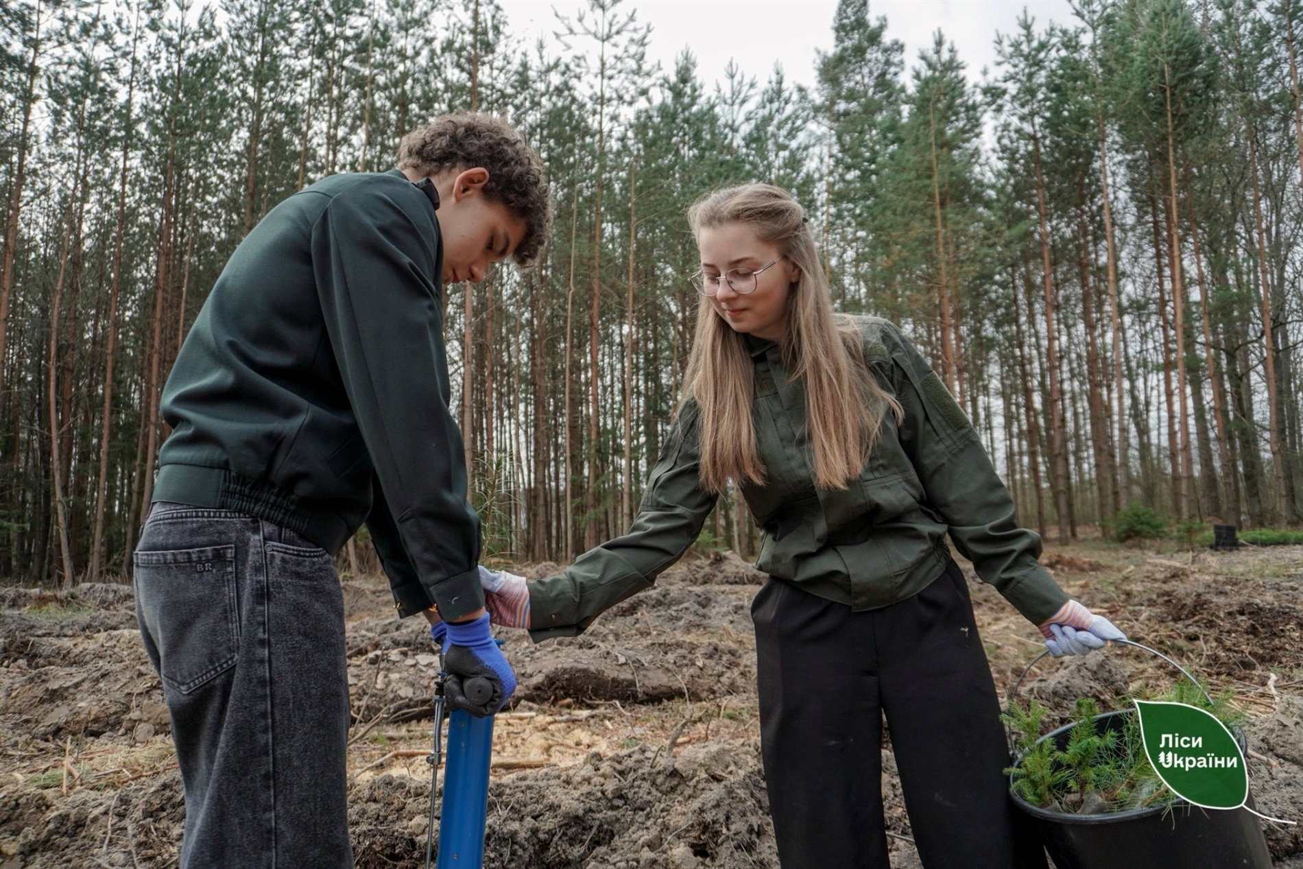 Поблизу Звягеля заклали 