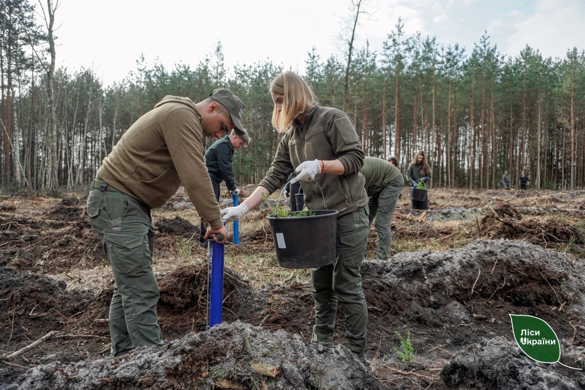 Поблизу Звягеля заклали 