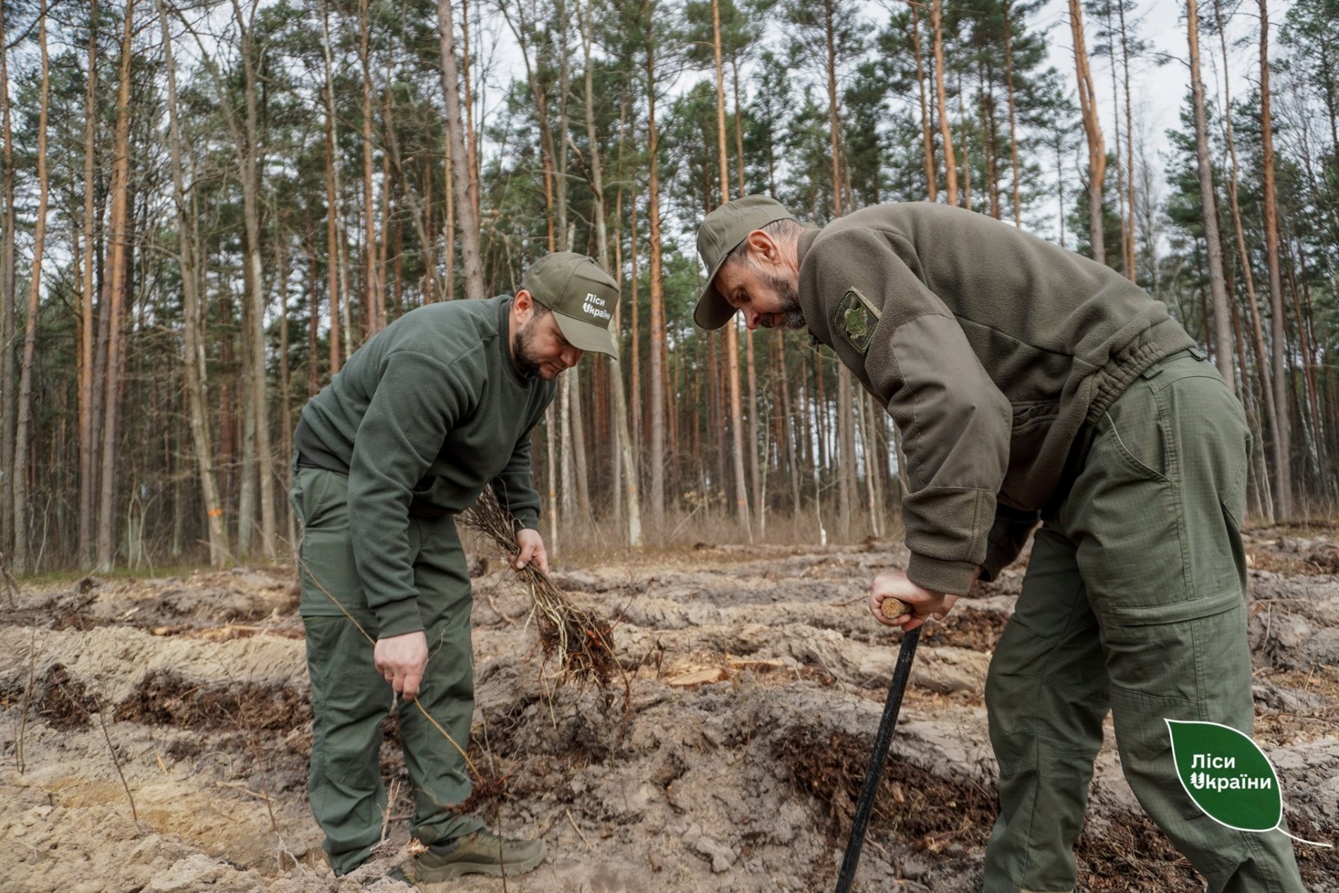 Поблизу Звягеля заклали 