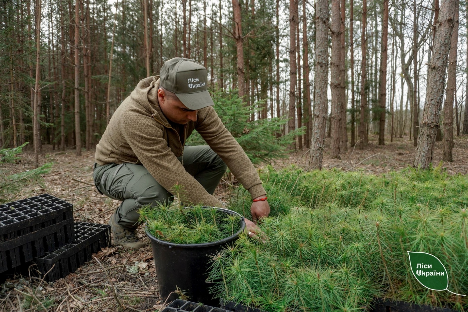 Поблизу Звягеля заклали 