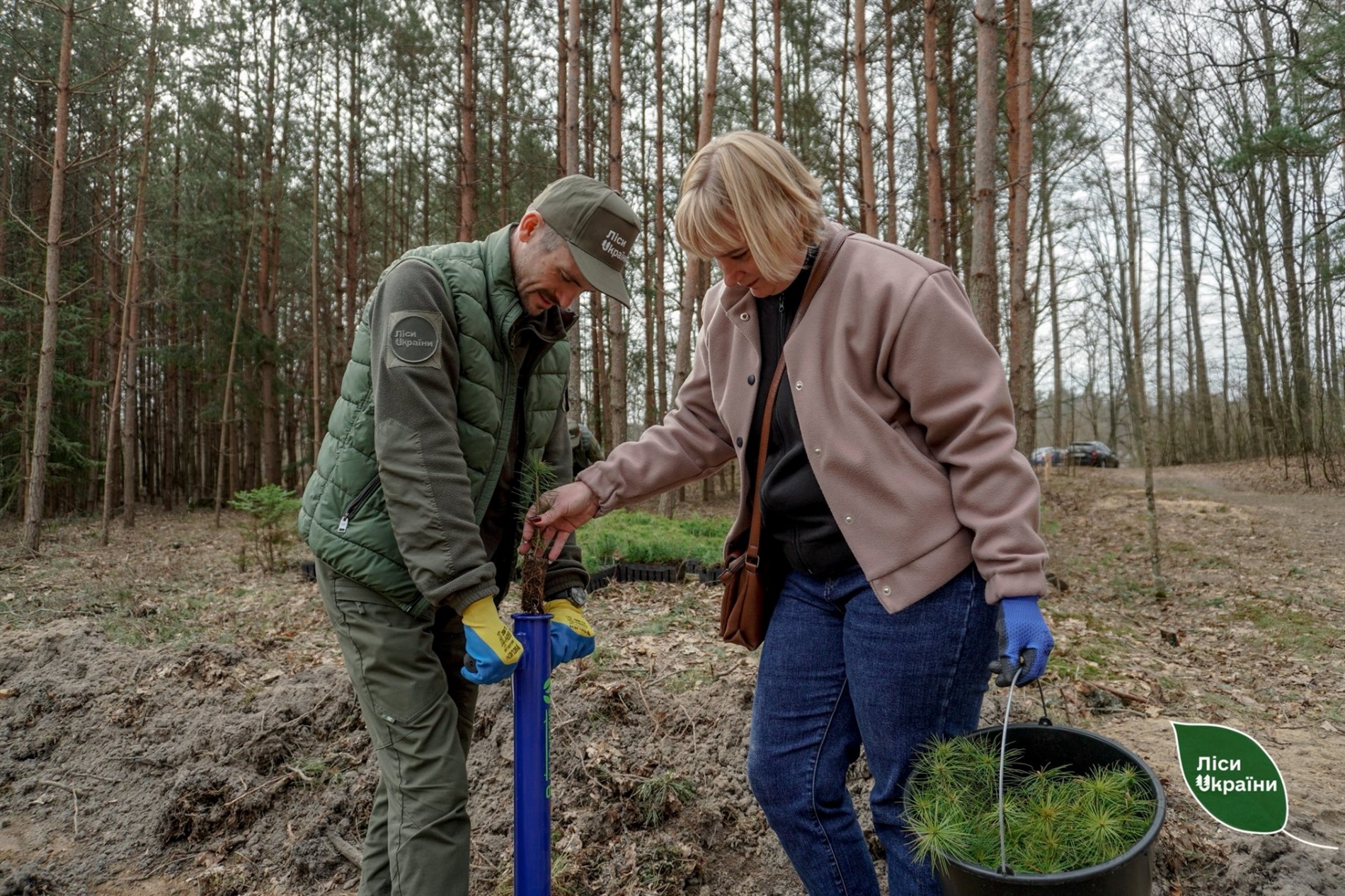 Поблизу Звягеля заклали 