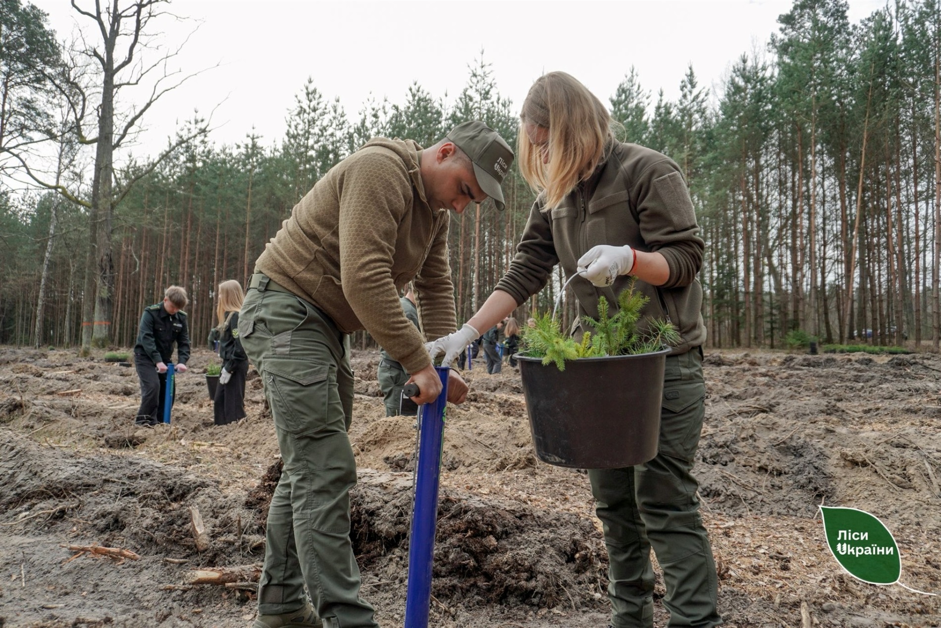 Поблизу Звягеля заклали 