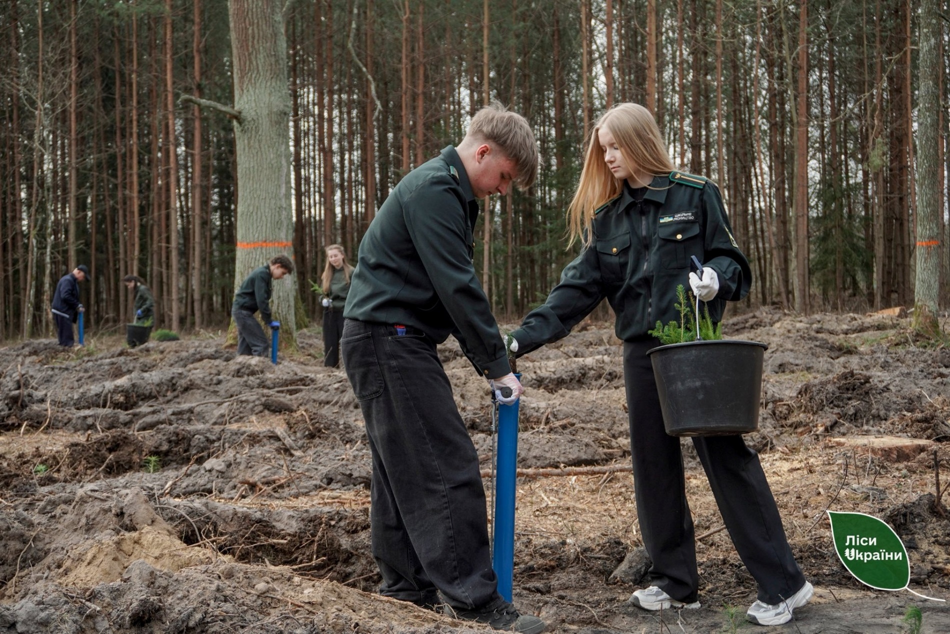 Поблизу Звягеля заклали 