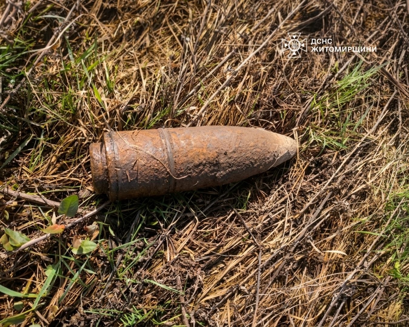 В полі на Звягельщині місцеві жителі знайшли артилерійський снаряд