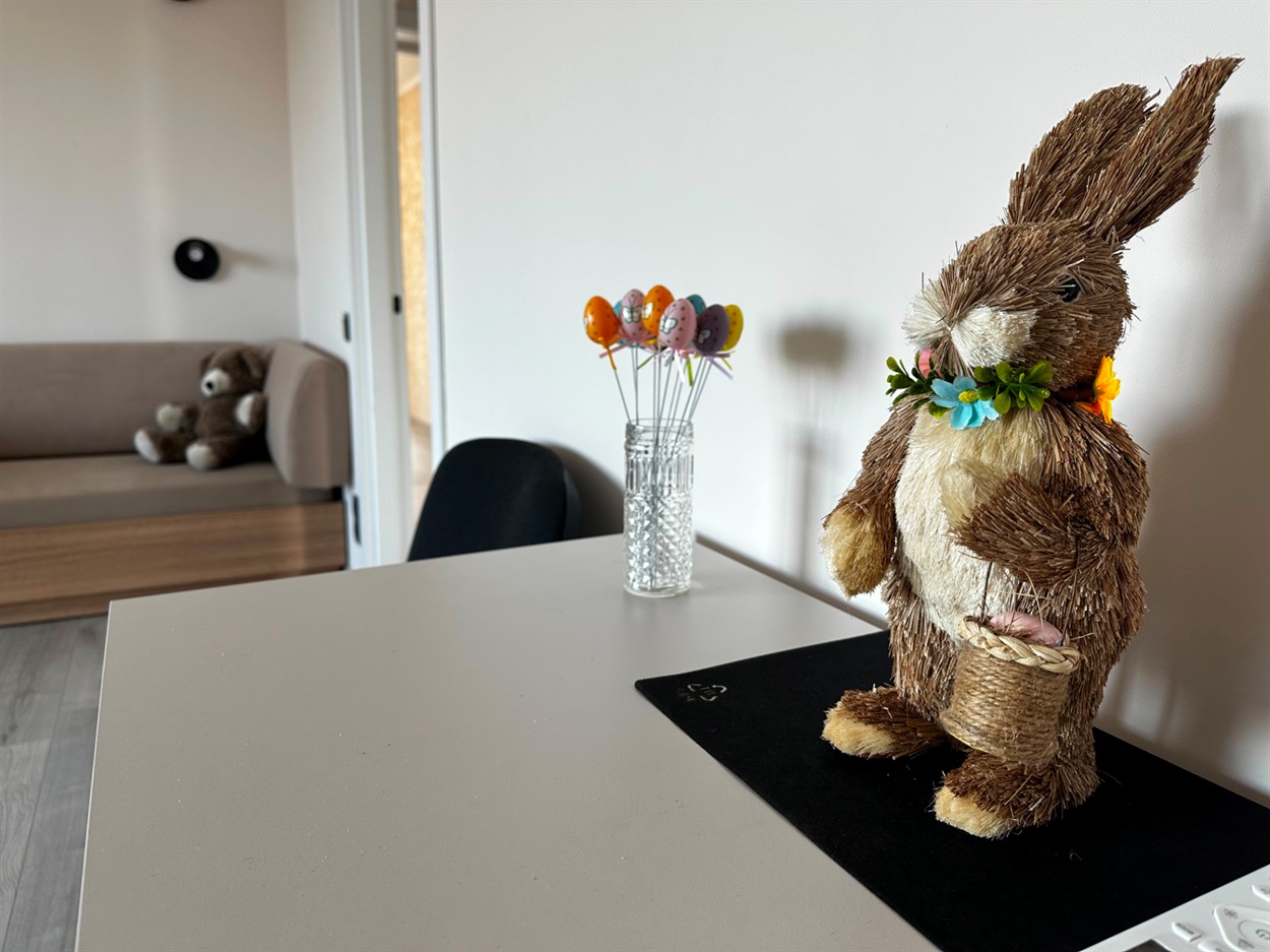 “Не замість тебе, а разом”: як у прихистку на Звягельщині дівчат-сиріт навчають самостійності