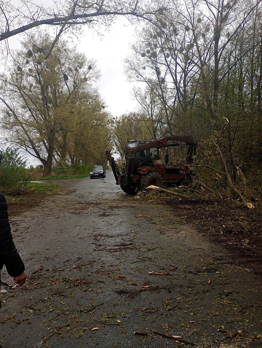 Вирвані з корінням дерева і заблоковані дороги: наслідки негоди на Житомирщині