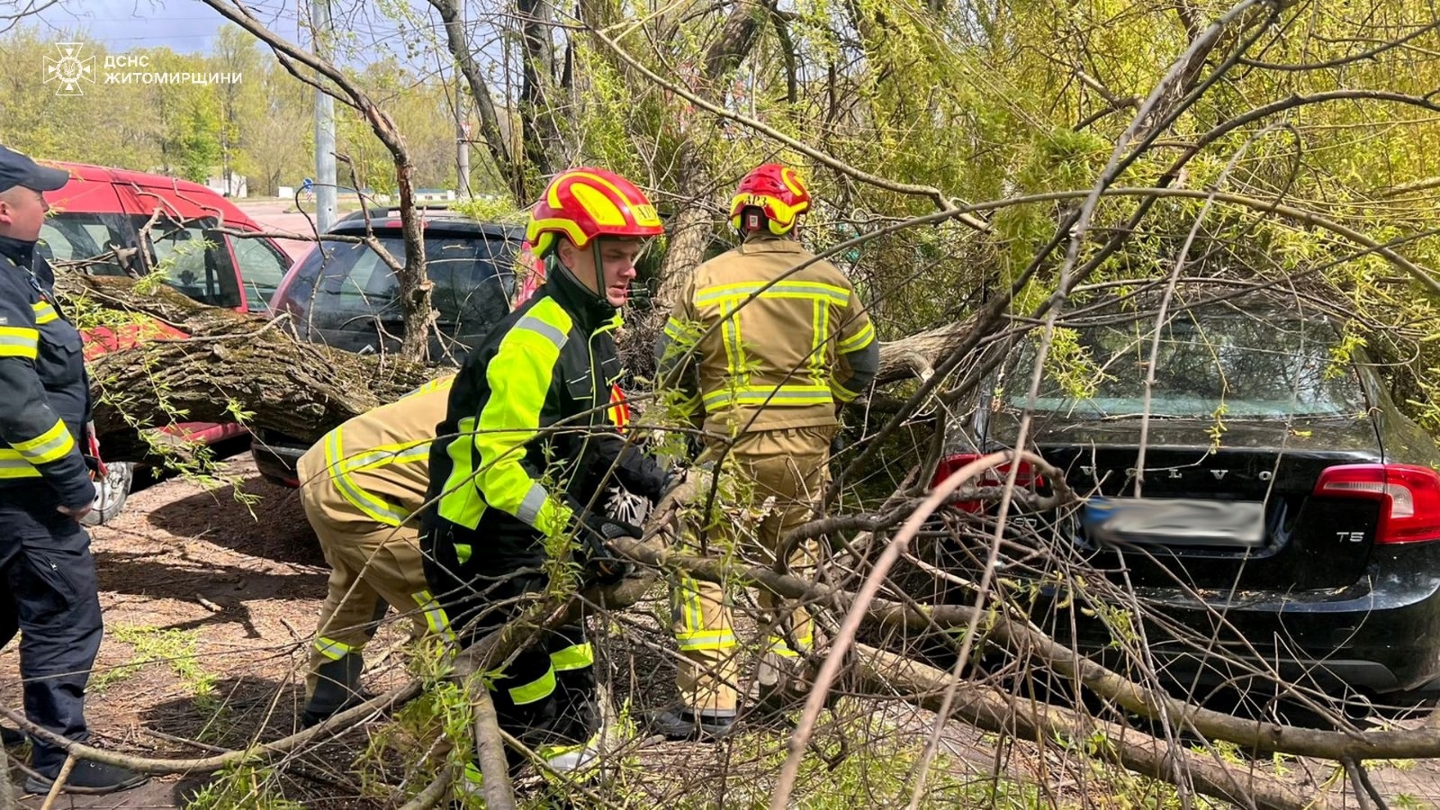 Вирвані з корінням дерева і заблоковані дороги: наслідки негоди на Житомирщині