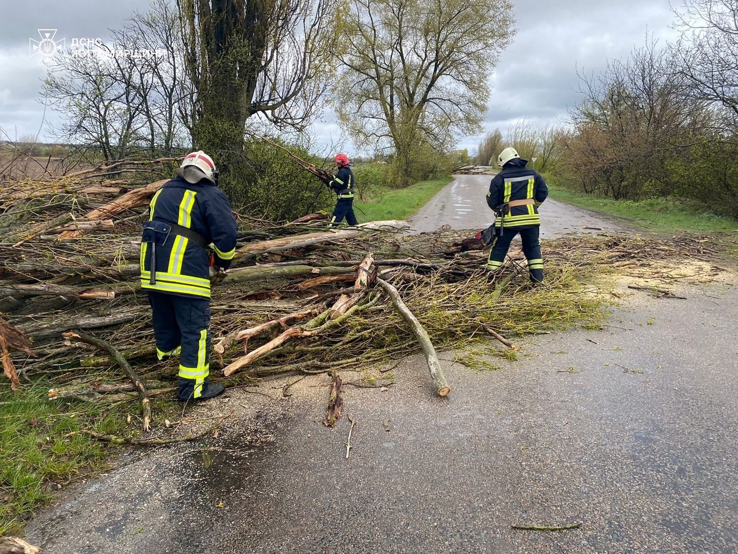 Вирвані з корінням дерева і заблоковані дороги: наслідки негоди на Житомирщині