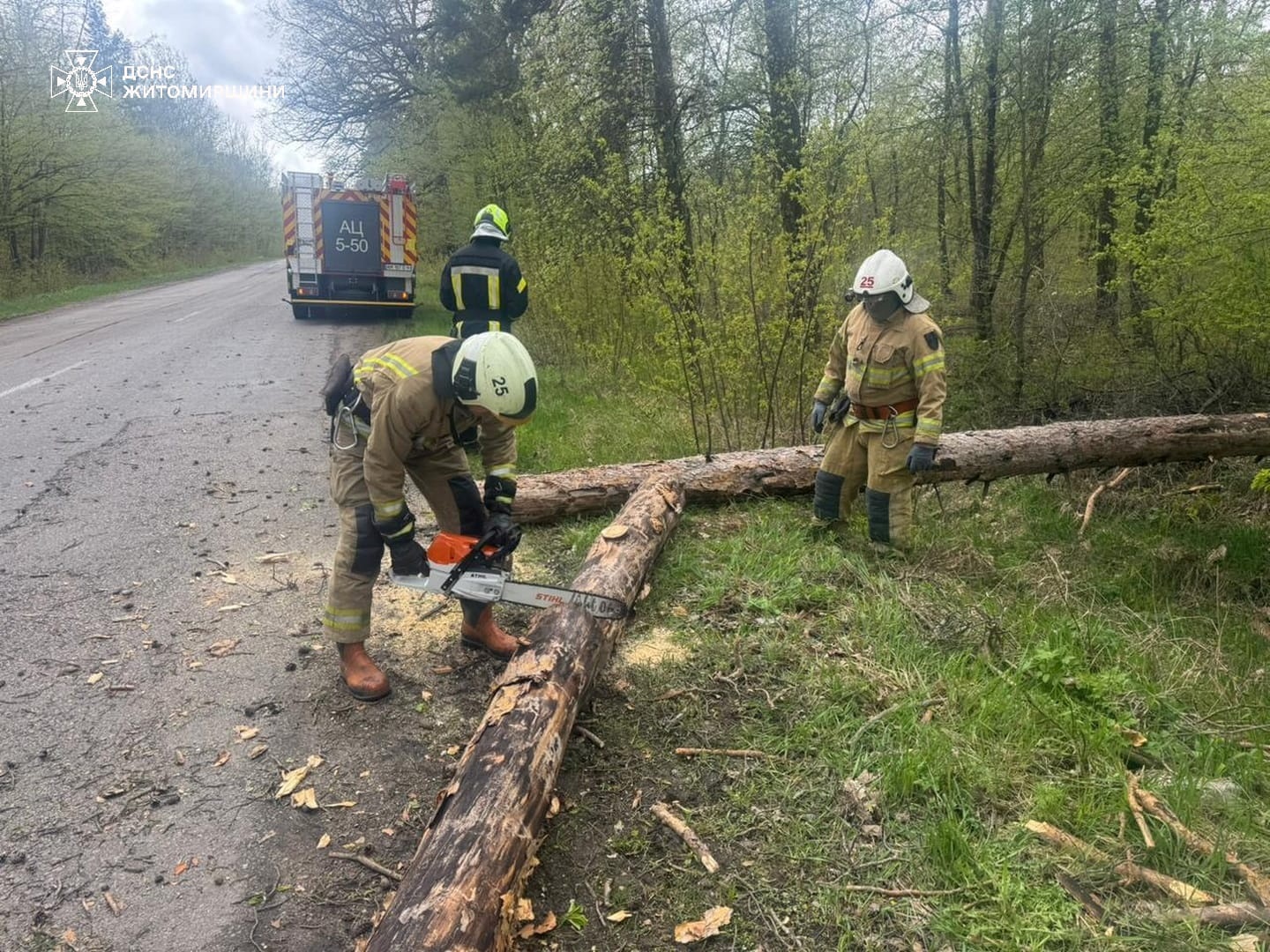 Вирвані з корінням дерева і заблоковані дороги: наслідки негоди на Житомирщині