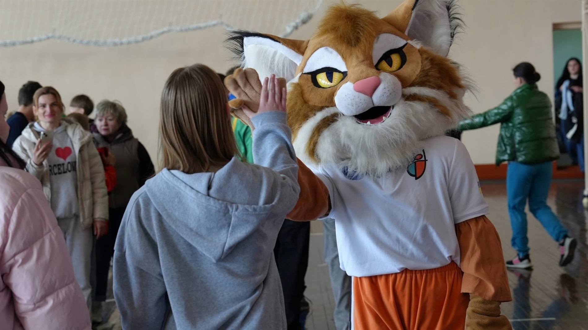 Золото, срібло, бронза: звягельські школярі підкорили обласний етап 