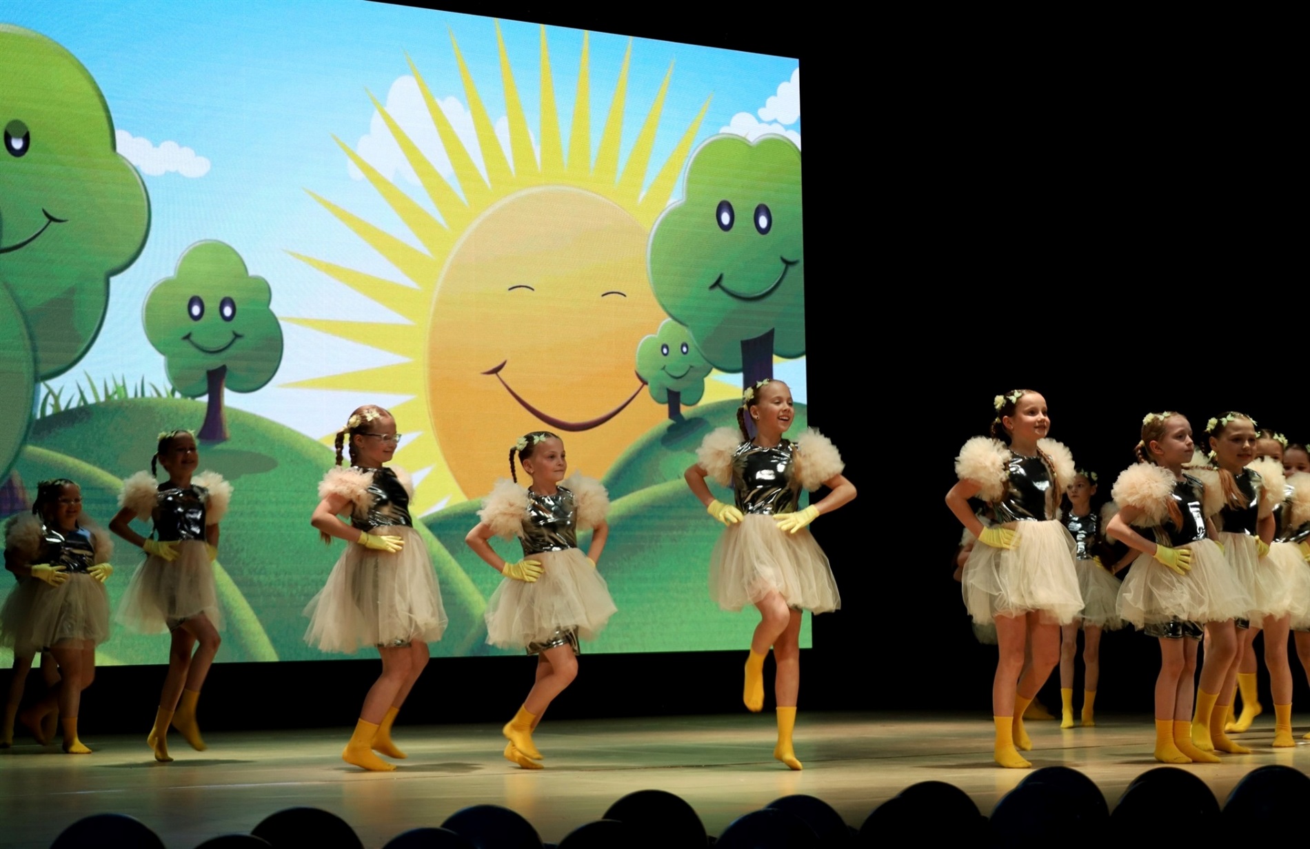 На сцені понад сотня танцівників: у Звягелі відбувся благодійний фестиваль танцю 