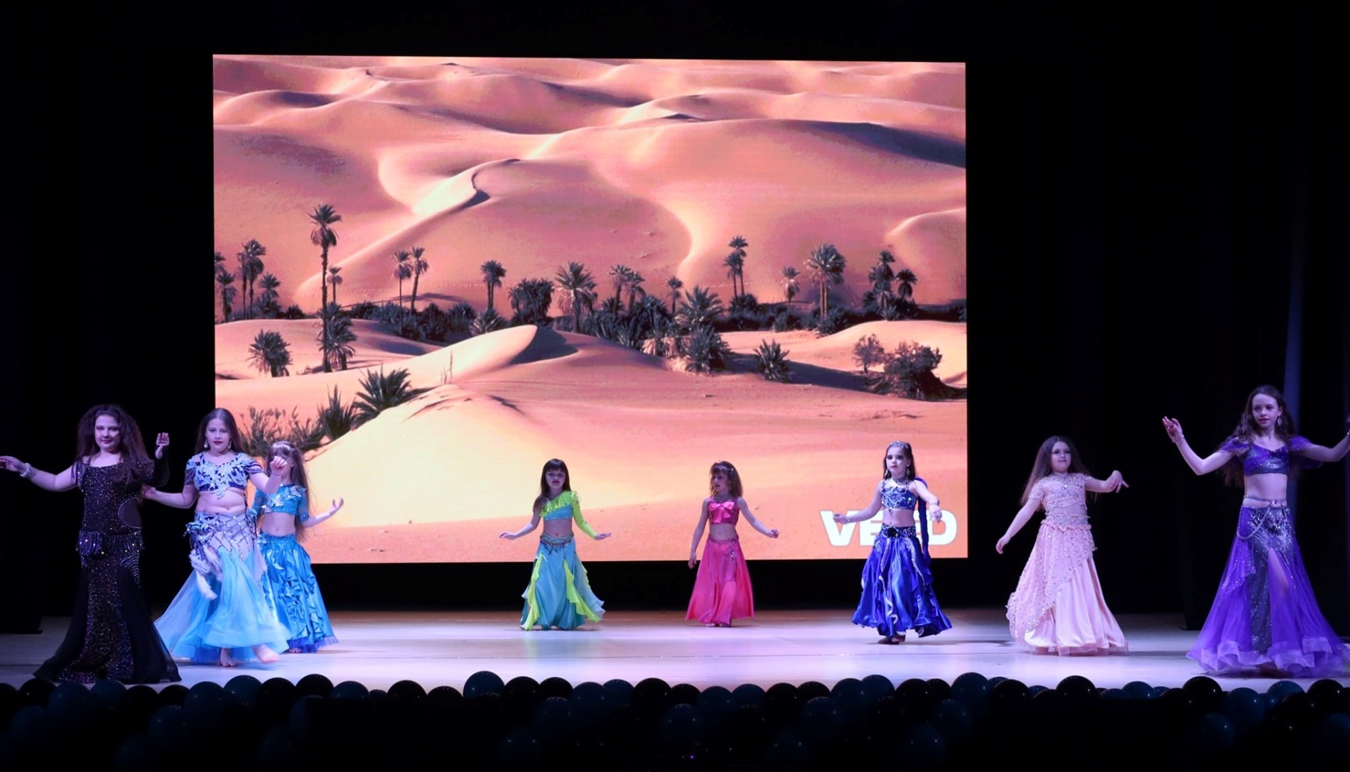 На сцені понад сотня танцівників: у Звягелі відбувся благодійний фестиваль танцю 