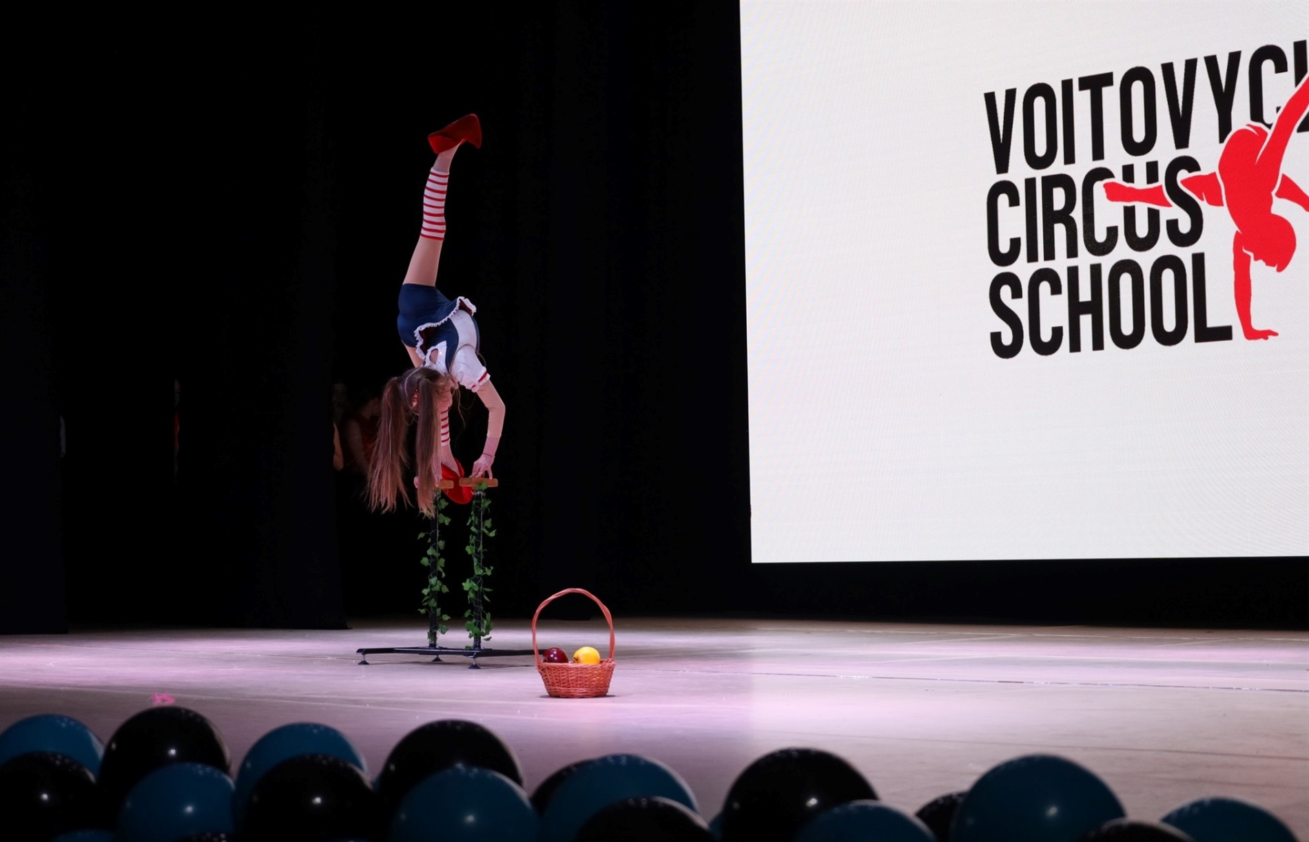 На сцені понад сотня танцівників: у Звягелі відбувся благодійний фестиваль танцю 