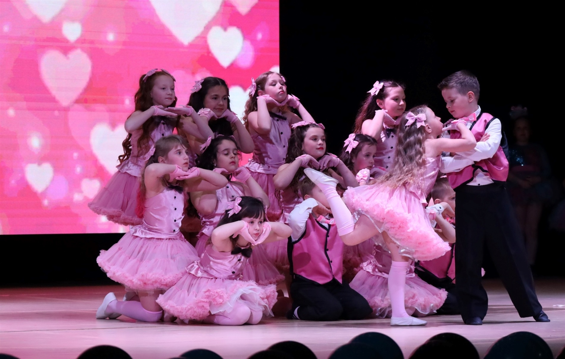 На сцені понад сотня танцівників: у Звягелі відбувся благодійний фестиваль танцю 