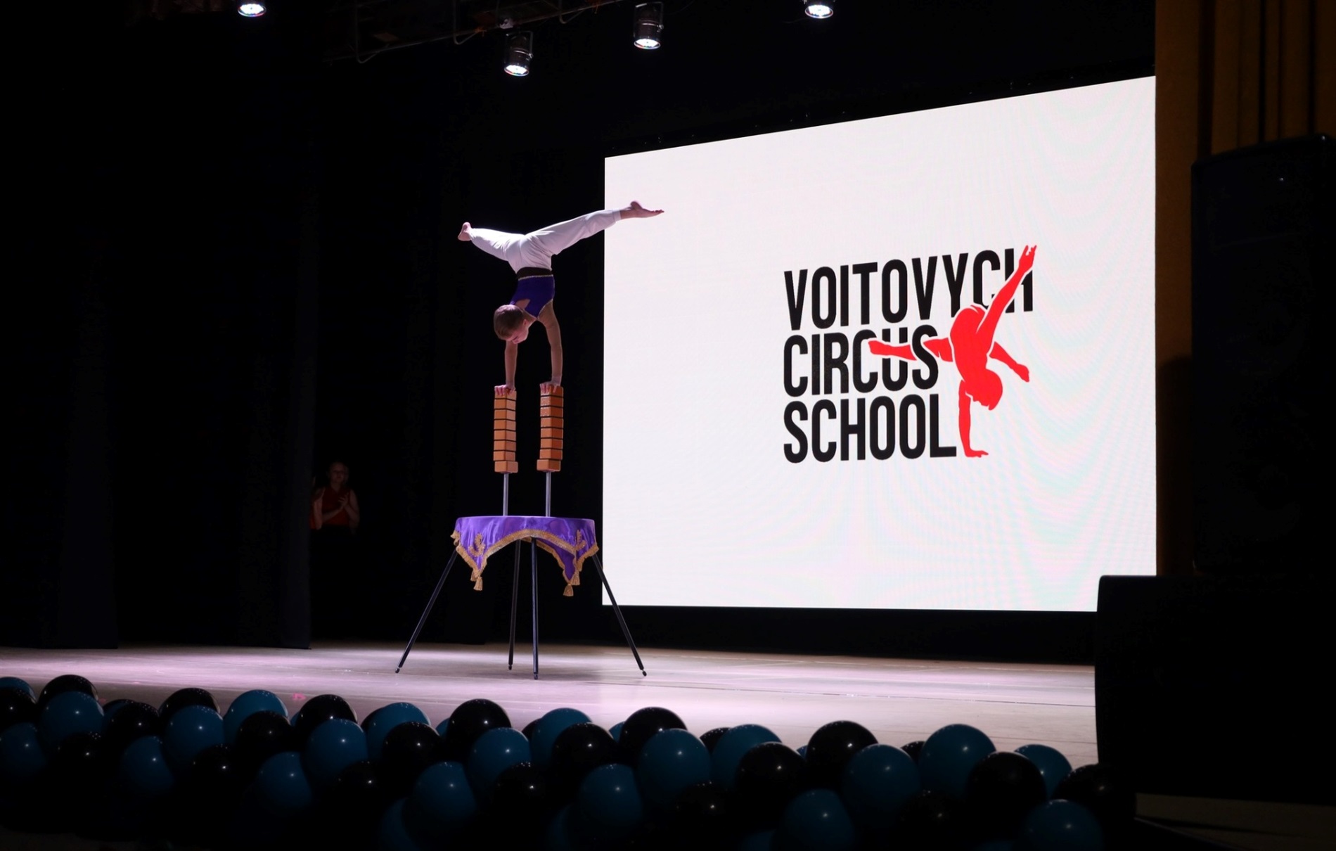 На сцені понад сотня танцівників: у Звягелі відбувся благодійний фестиваль танцю 