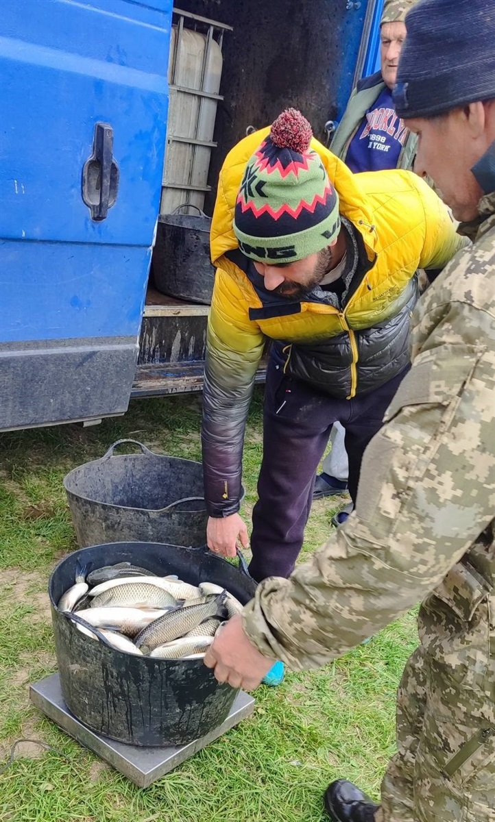 У Великій Деражні зарибили ставок – у водойму запустили 500 кг білого амура