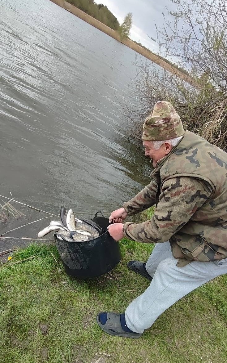 У Великій Деражні зарибили ставок – у водойму запустили 500 кг білого амура
