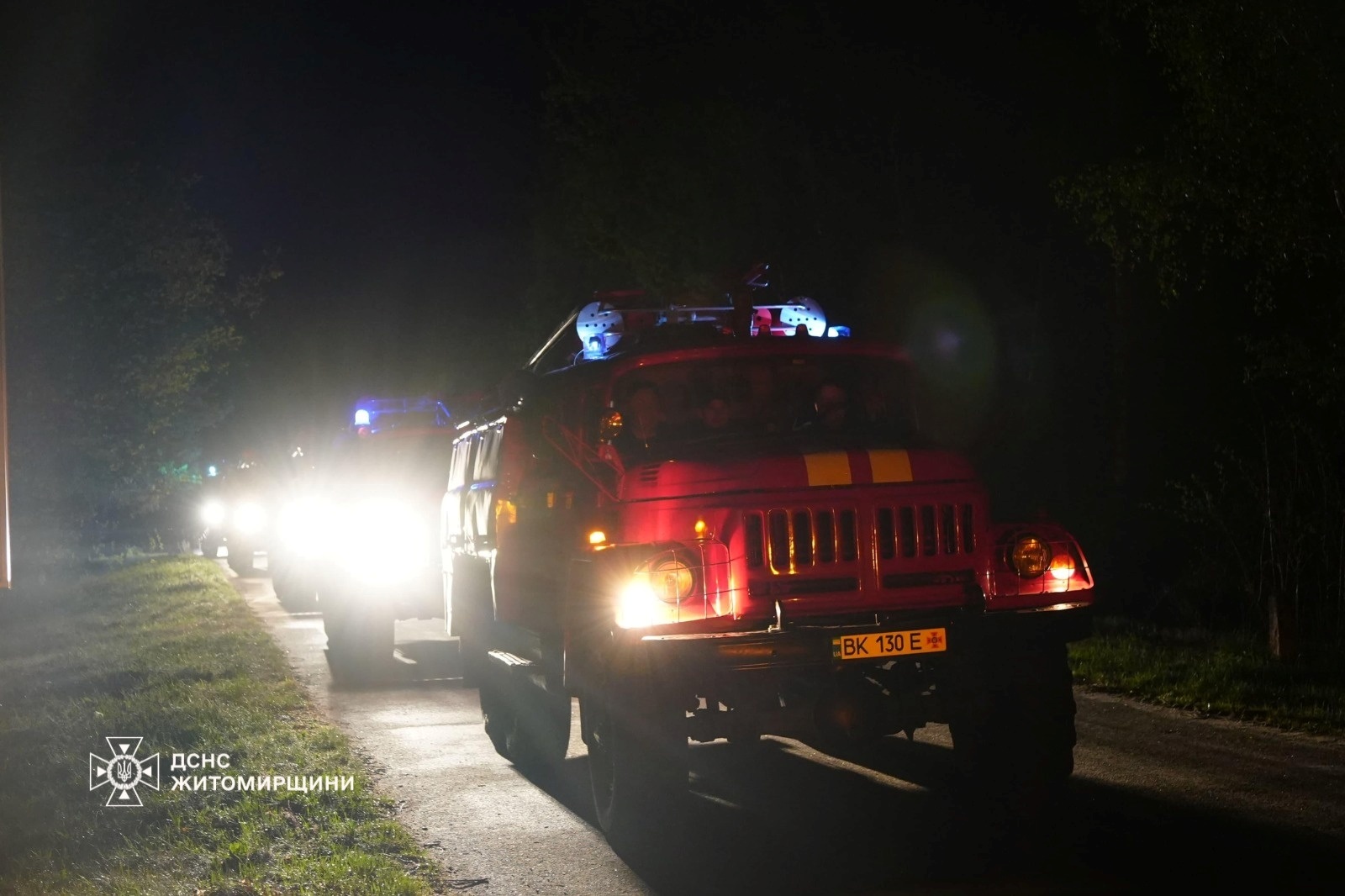 Навмисна диверсія: встановили причину пожежі в лісі на Житомирщині