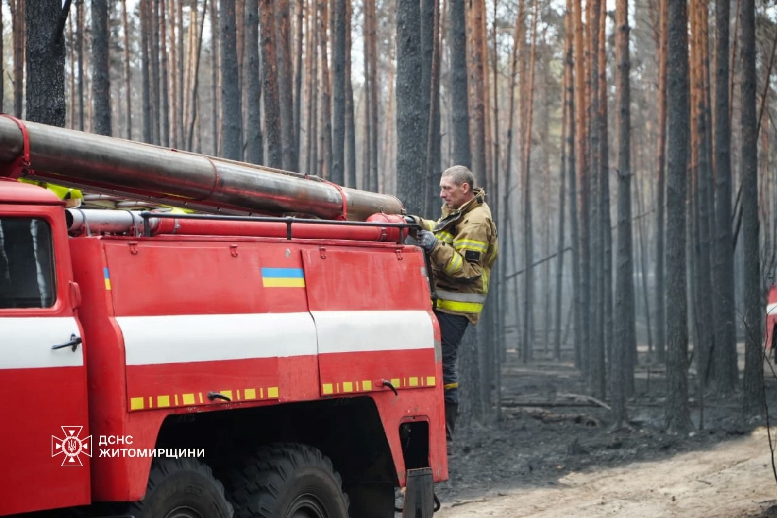 Горить Поліський природний заповідник на Житомирщині: площа пожежі поступово зменшується