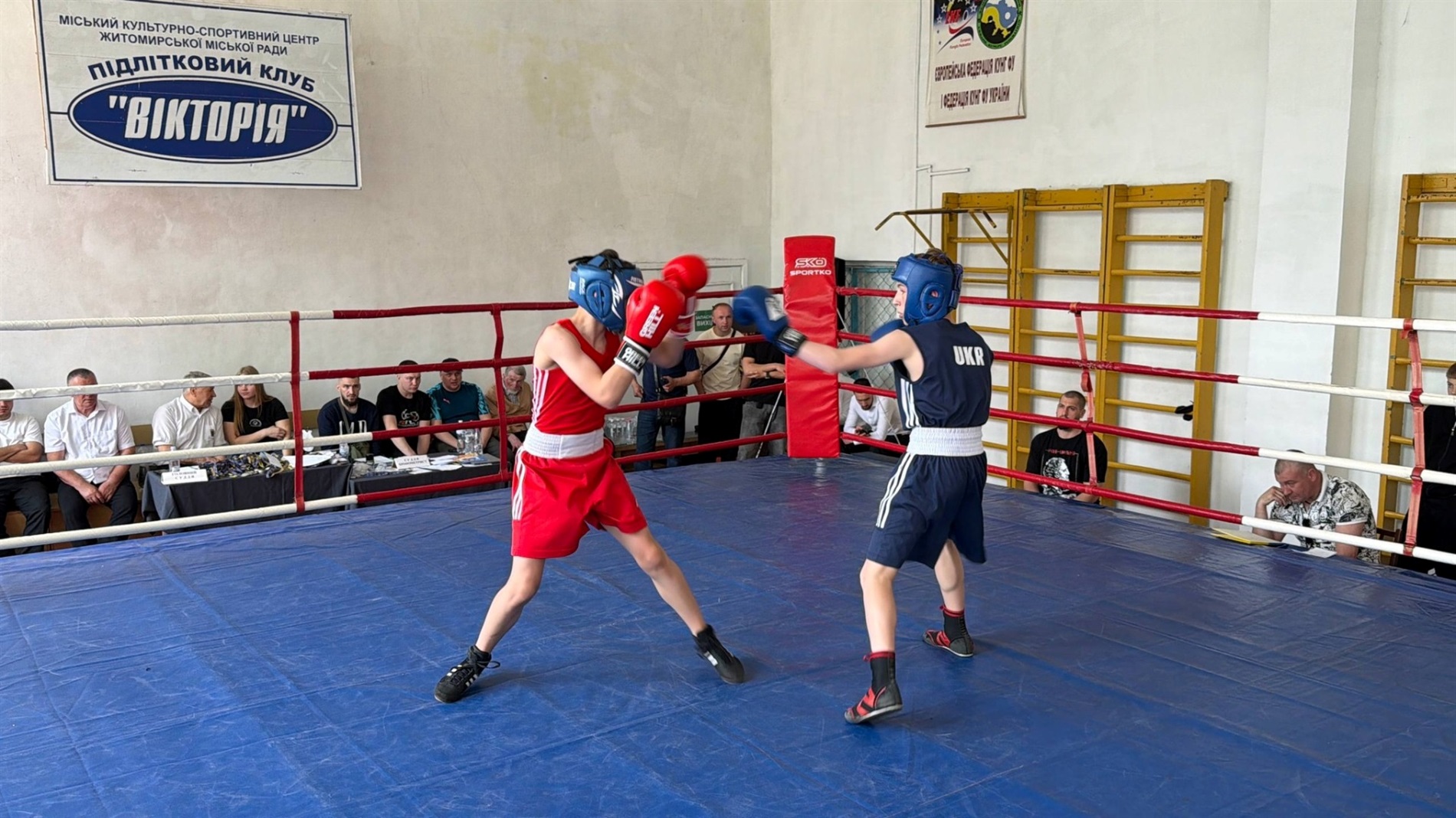 Боксери зі Звягеля здобули 24 медалі на чемпіонаті області