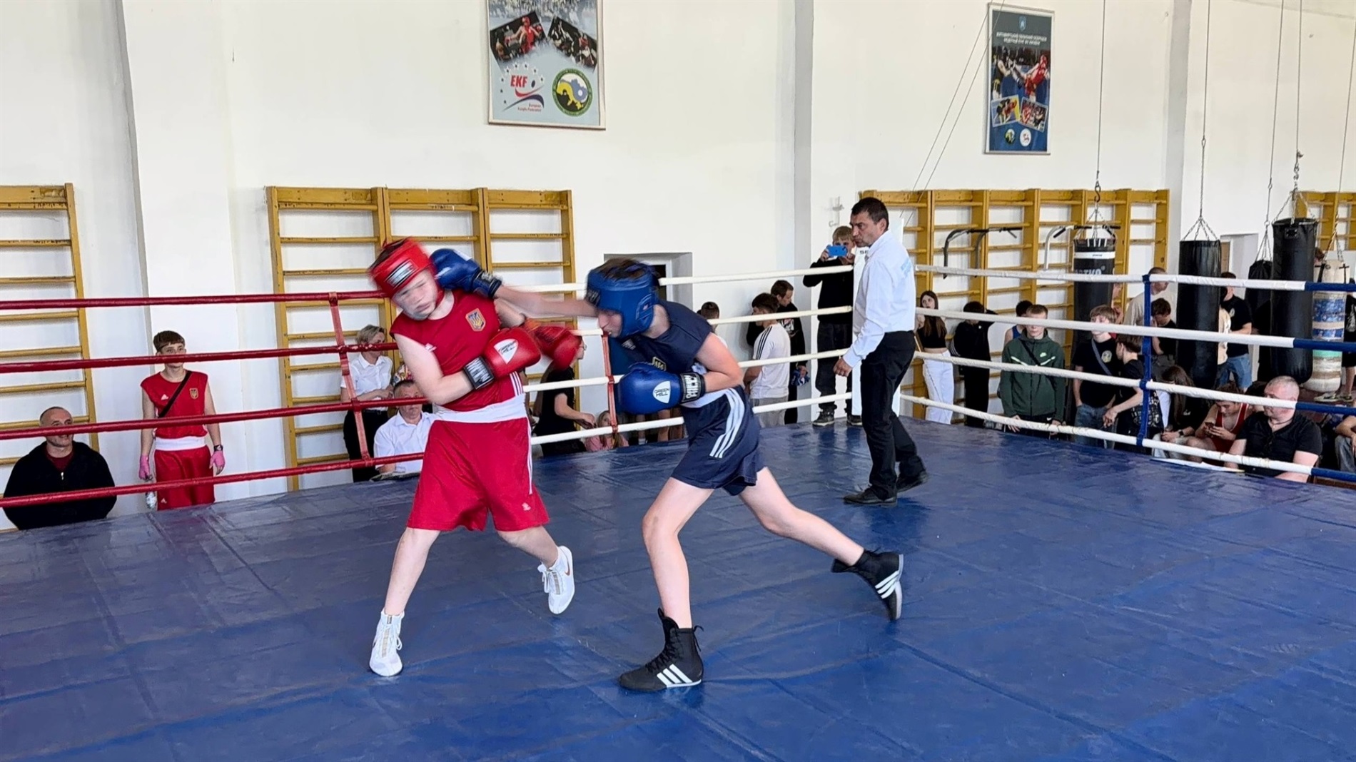 Боксери зі Звягеля здобули 24 медалі на чемпіонаті області
