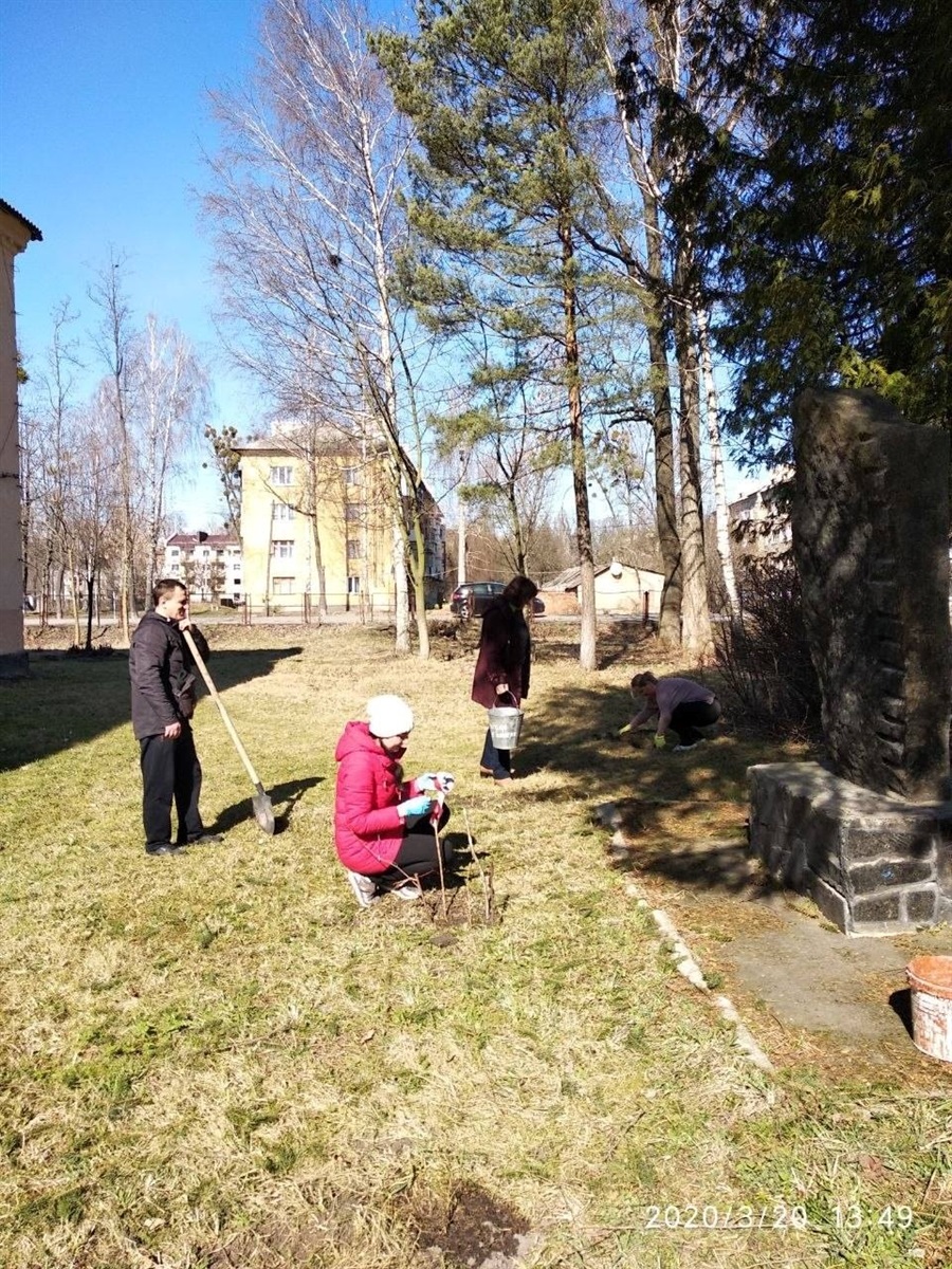 Модрина пам'яті: у Гімназії №9 вшанували загиблого вчителя Максима Левковського