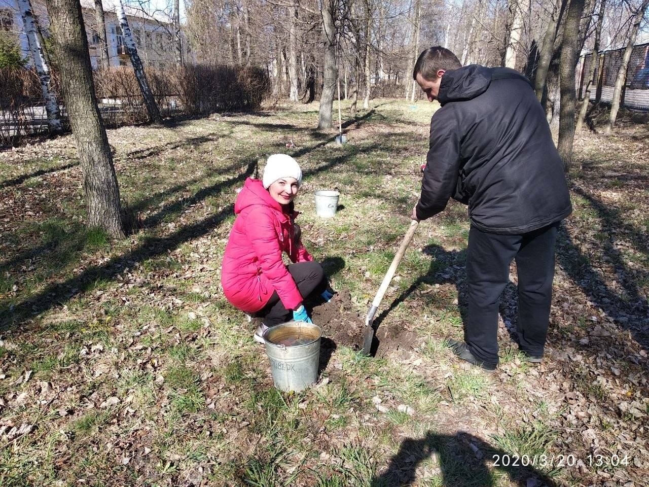 Модрина пам'яті: у Гімназії №9 вшанували загиблого вчителя Максима Левковського