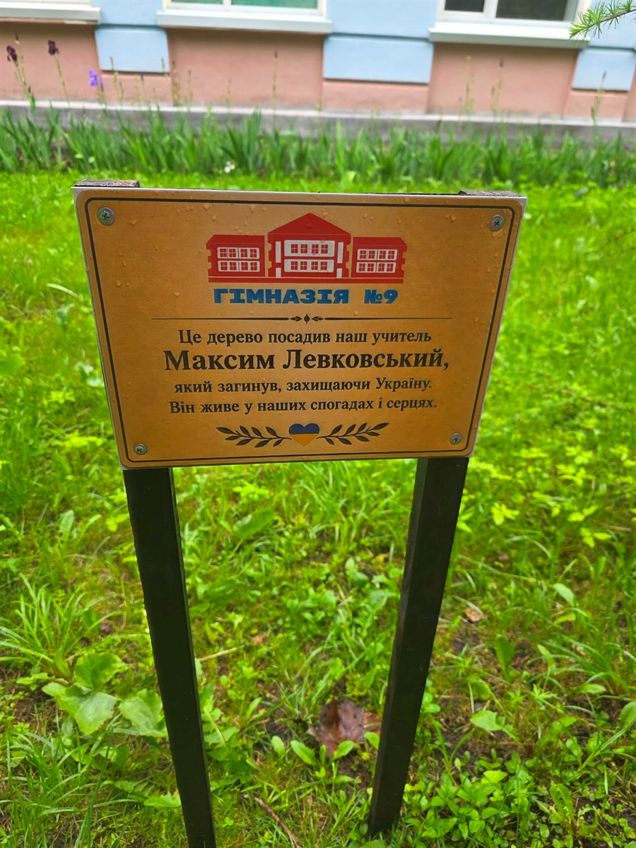 Пам'ятна табличка біля модрини на подвір'ї гімназії № 9