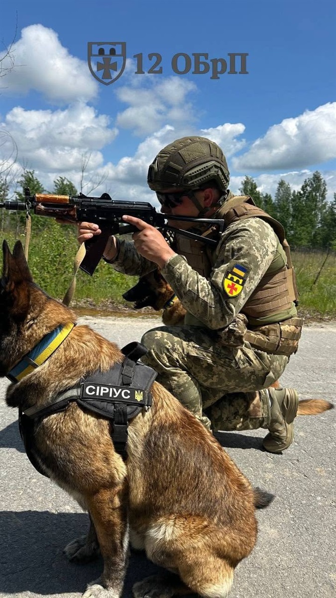 Чотирилапі сапери: у 12-й окремій бригаді підтримки військовим допомагають собаки-кінологи