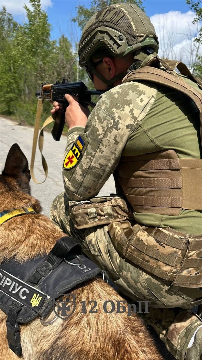 Чотирилапі сапери: у 12-й окремій бригаді підтримки військовим допомагають собаки-кінологи