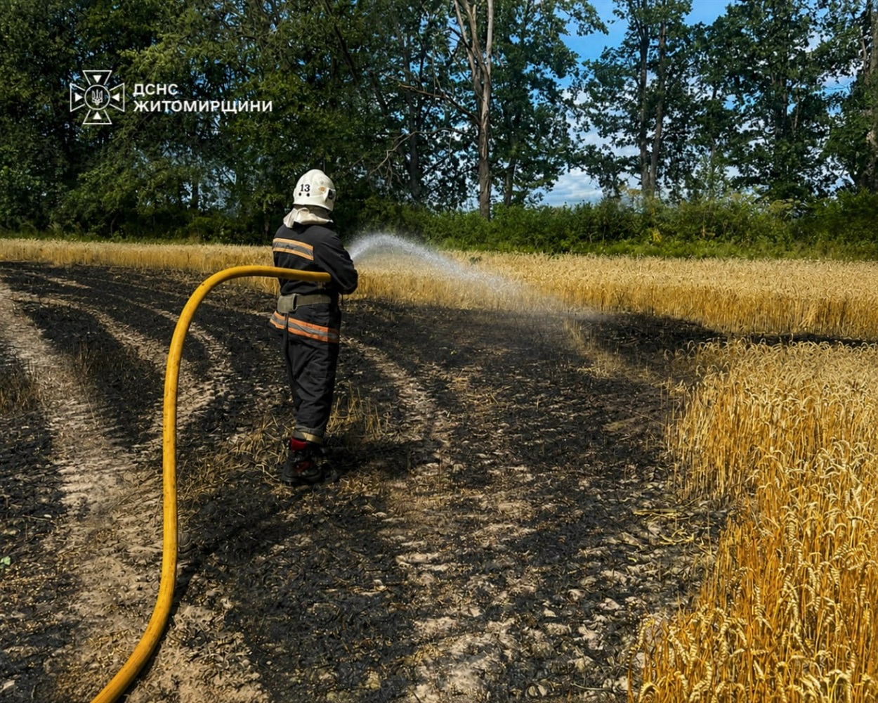 Пожежа після російського удару знищила 2 га пшениці на Житомирщині