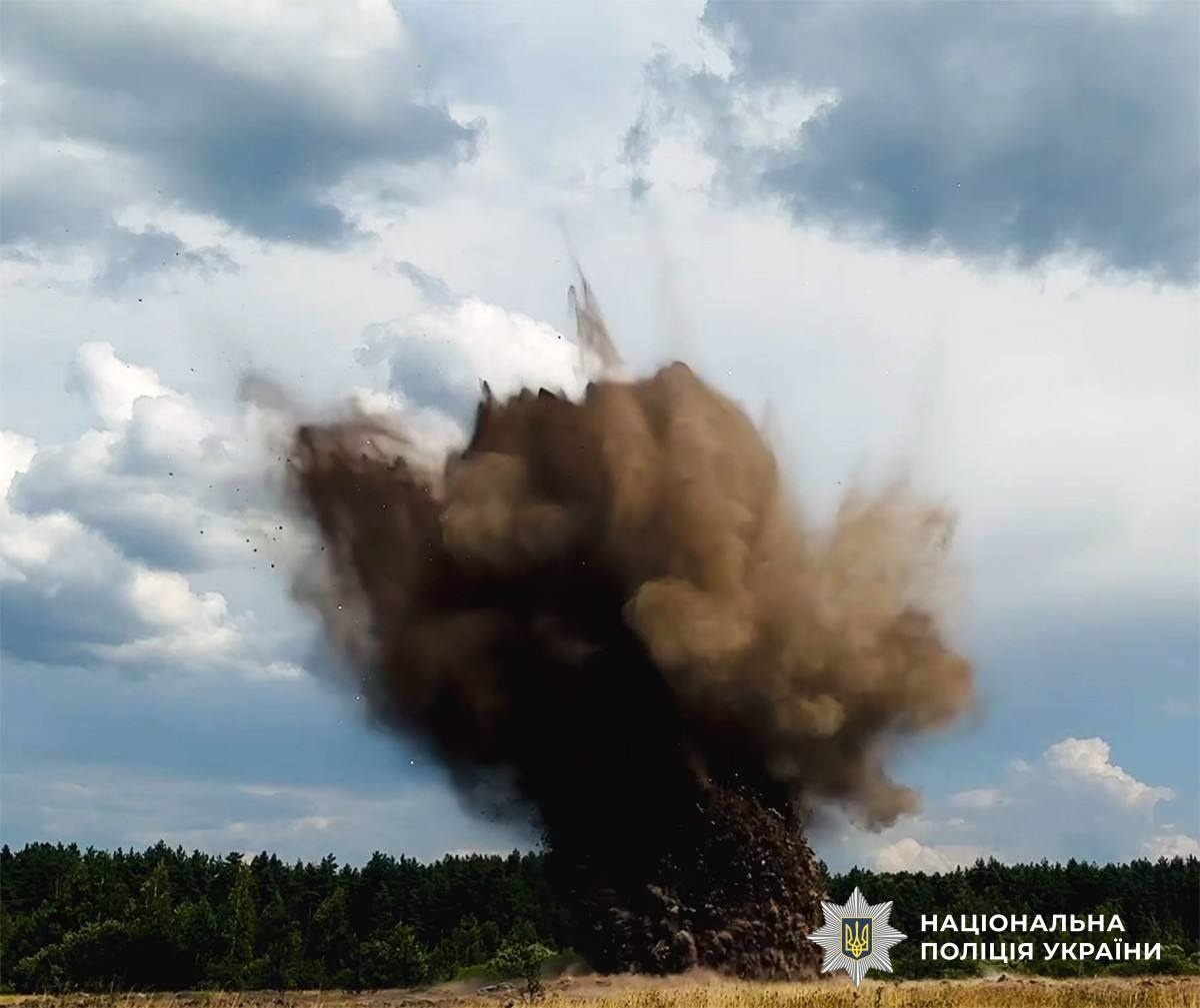Вибухотехніки поліції знищили бойову частину ворожого БпЛА