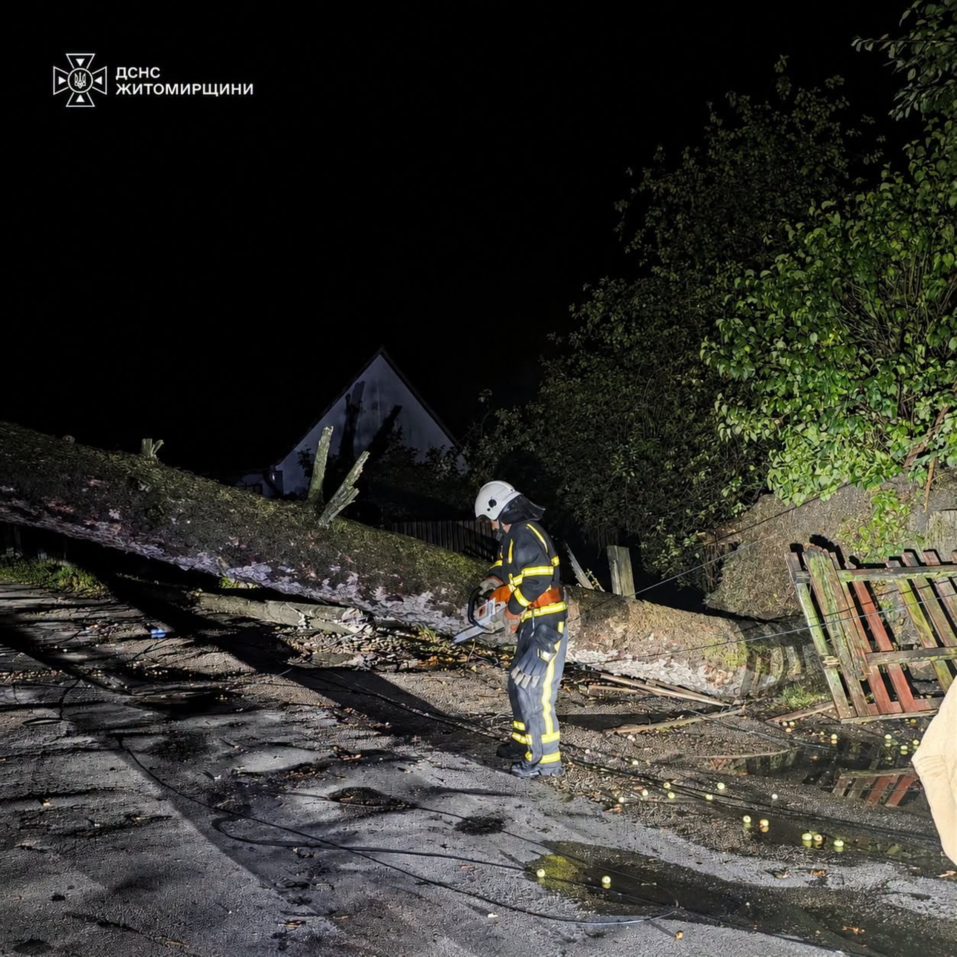 Негода на Звягельщині: дерева заблокували дороги та впали на дах будинку