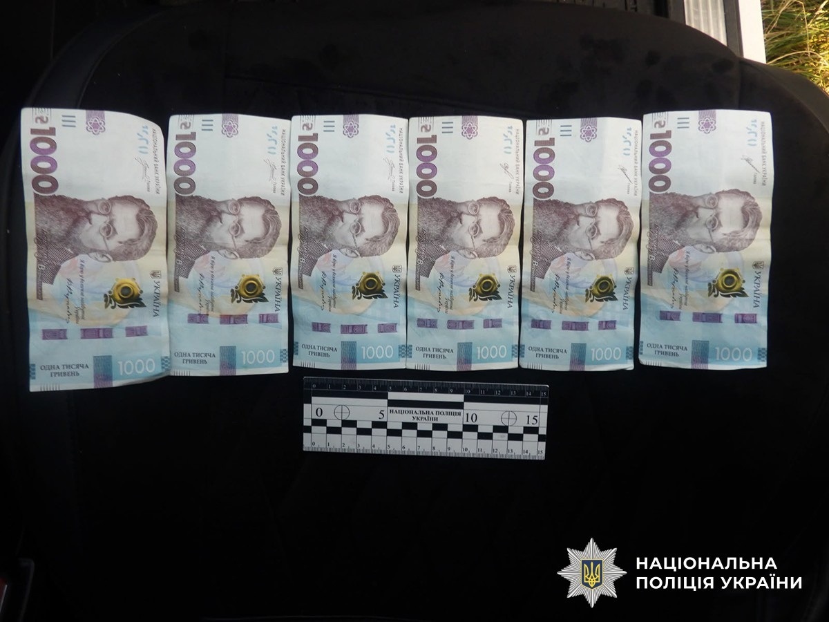 П'яний байкер і безправний комбайнер: на Звягельщині двоє водіїв намагалися відкупитися від поліції
