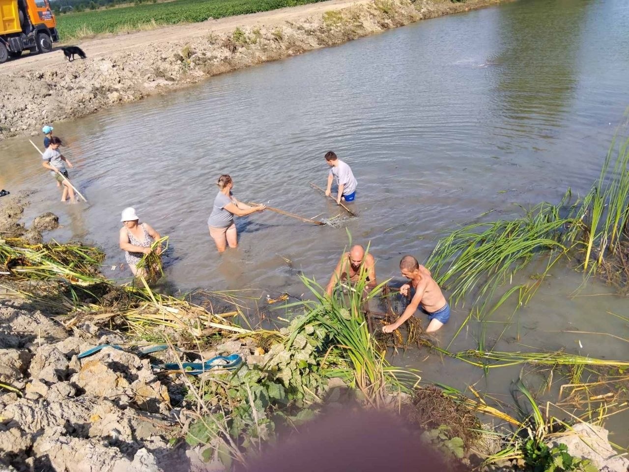 Пляж замість чагарників: у Майстровій Волі створюють зону відпочинку